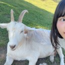 단원구청 화장실 | 따라 올리는 삼척여행