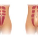 청담에스에스640의원 이미지