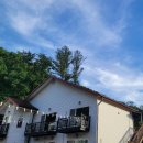 평창듀오애견수영장계곡펜션 이미지