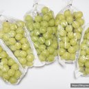 천우2농장 이미지