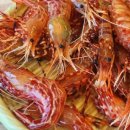 독도회식당 이미지
