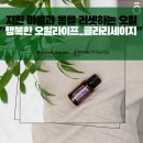 [특강]8/28(수)감정 아로마 테라피+여성호르몬 클래스(궁테라피 DIY) | [도테라 오일] 지친 마음과 몸을 지셋하는데 도움이 되는 오일, 오늘은 &#34;클라리 세이지&#34; 하세요!