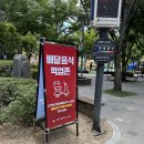 이현 어린이집 | 2025 대구 이현공원 물놀이터 개장 주차 운영시간 배달 준비물