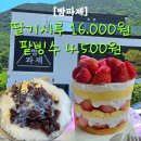 작천정작은도서관 | 울산 작천정 카페 추천, 빵파제 딸기시루와 팥빙수에 반한 내돈내산 후기