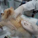 내장축산 이미지