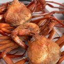 영덕농수산 싱싱하게 살아있어 수율 꽉 찬 맛있는 홍게 배송 후기