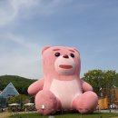 (주)루시카토 이미지