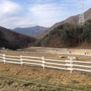 녹천 목장 이미지