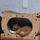 이동열마취통증의학과의원 이미지