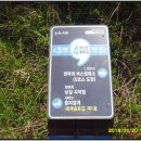 해변의 왈츠 이미지
