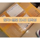 한국에서 온 선물상자 일본에서 받은 EMS 언박싱!
