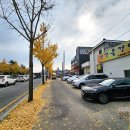 자운대네거리~화암네거리 | 대전 유성 자운동맛집 황간올갱이 올갱이해장국 먹고 자운대 수운교 가을 산책