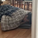 (주)이작 | 사람들을 압도하려면 항상 두가지를 동원해야한다.