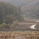 제9차 이천-여주-양평 토지답사 후기(7) - 양평군 금왕리 밭 이미지