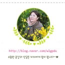 가평군농협하나로마트 설악점 이미지