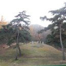 효민공 이경직 묘역 Daum카페