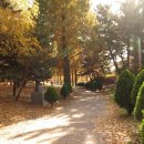 성호공원_식물원주변 이미지