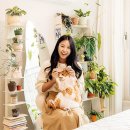 유지씨(UGC) 이미지
