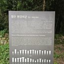 영산 현감비군 이미지