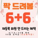 농서로R 네이버블로그