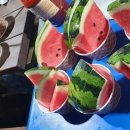제주잡스인