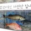 최선장횟집