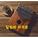 1:1 칼림바 지도사 자격증 과정 단기완성 강의 안내 (악기 증정 실버시대 무한 가능성) - 한국실용음악예술협회 이미지