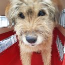 화곡1리 이미지