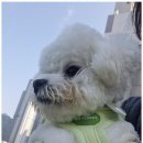 호텔대구 이미지