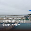 율포해수녹차센터 | 보성 율포해수녹차센터 노천탕 후기 녹차 아이스크림까지 힐링 코스