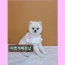 이쁘개샵 네이버블로그