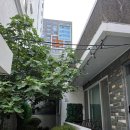 [부산 수영역 감성 숙소] '소반스테이' 2층 후기 🌿