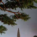 세무회계_일신 | 충북 충주 탑평리칠층석탑