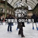 그랑팔레 아이스링크 후기 파리 겨울 로맨스를 느껴보세요!