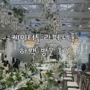 케이스크린 | 신촌 케이터틀(거구장) 라페네홀, 뷔페 하객 방문 후기