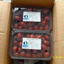 3형제농장 이미지