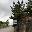 스테이미엔느 | 제주 구좌읍 평대리 분위기있는 와인과 디너를 즐길 수 있는 [쿠쿤]