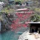 의령 청금정 이미지