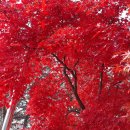 능산보건진료소 이미지