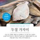 주식회사 타이거 이미지