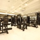 그린헬스타운 이미지