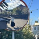 소서감산 이미지