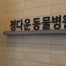 정다운동물병원 이미지