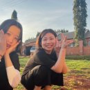 진자농장 이미지