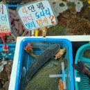 대포항회수산 이미지