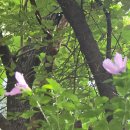 0802.왕산 ㅡ0804스무이틀 반달 하트 이미지