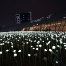 장미정원 이미지