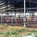 녹원록농장 이미지