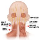 얘들아 여기가아픈거 어디가야해? ㅠㅠㅠ 이미지