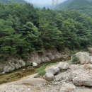 자연과아이들 | 옥천 장령산 자연휴양림 후기｜아이들과 당일치기 계곡 나들이 추천